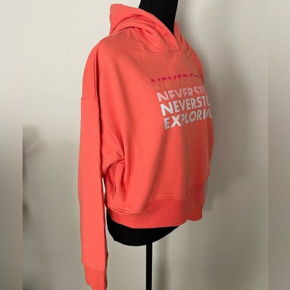 NWT The North Face Logo Play Hoodie - Picture 5 of 11